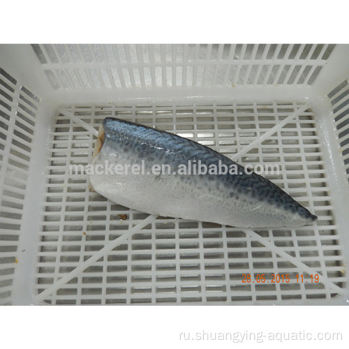 Frozen Scomber Japonicus Fish Pacific Mackerel Filet